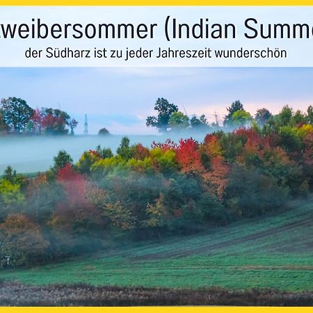 Marks Ferienwohnung In Bad Sachsa - Waldnah, Hundefreundlich, Ruhig! Ideal Fuer Paare Mit Hund Экстерьер фото