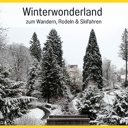 Marks Ferienwohnung In Bad Sachsa - Waldnah, Hundefreundlich, Ruhig! Ideal Fuer Paare Mit Hund Экстерьер фото