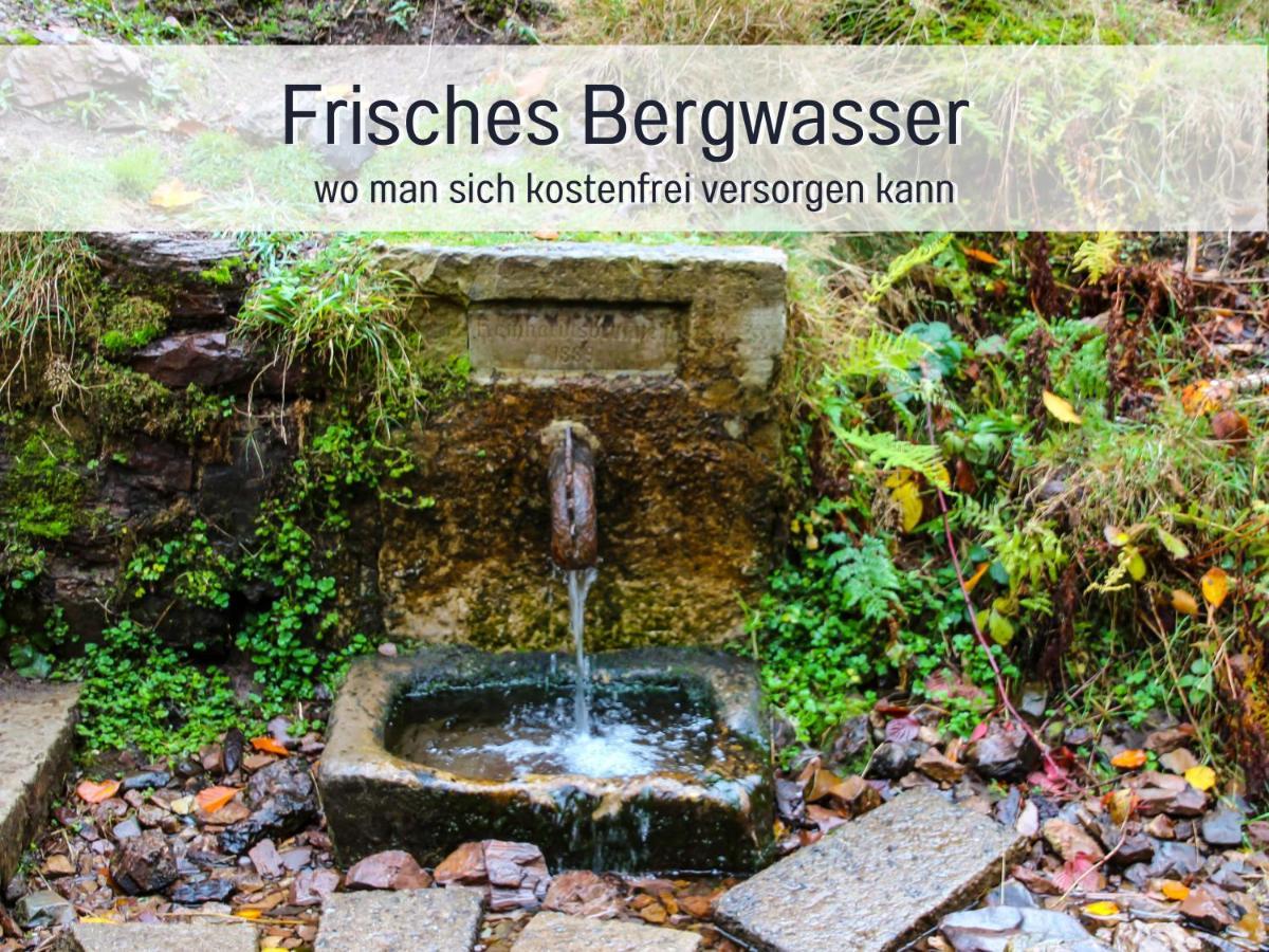 Marks Ferienwohnung In Bad Sachsa - Waldnah, Hundefreundlich, Ruhig! Ideal Fuer Paare Mit Hund Экстерьер фото