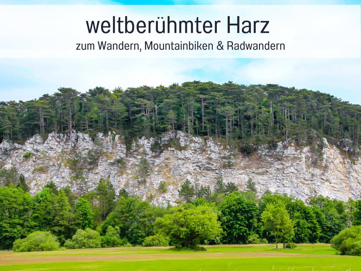Marks Ferienwohnung In Bad Sachsa - Waldnah, Hundefreundlich, Ruhig! Ideal Fuer Paare Mit Hund Экстерьер фото