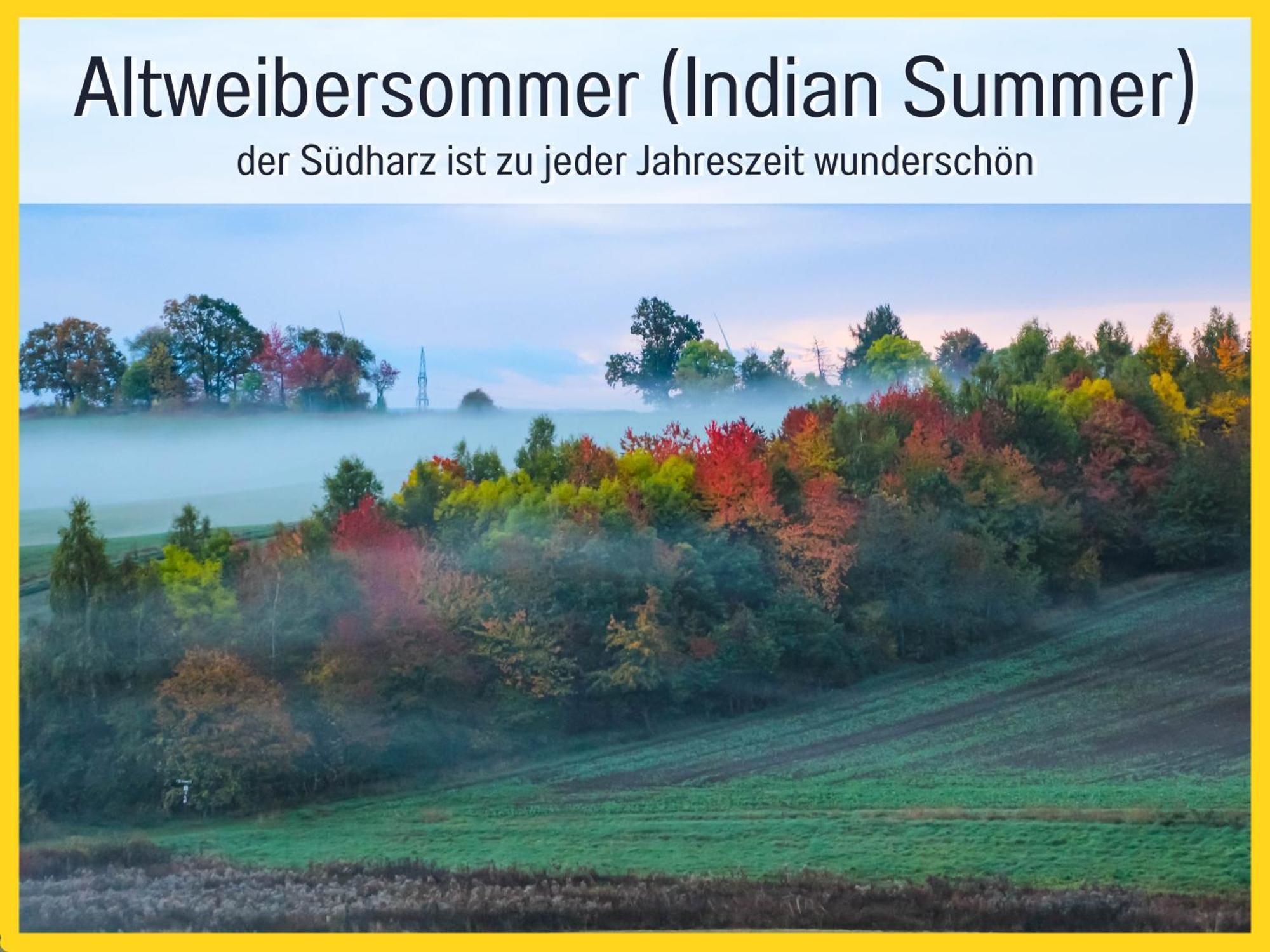 Marks Ferienwohnung In Bad Sachsa - Waldnah, Hundefreundlich, Ruhig! Ideal Fuer Paare Mit Hund Экстерьер фото