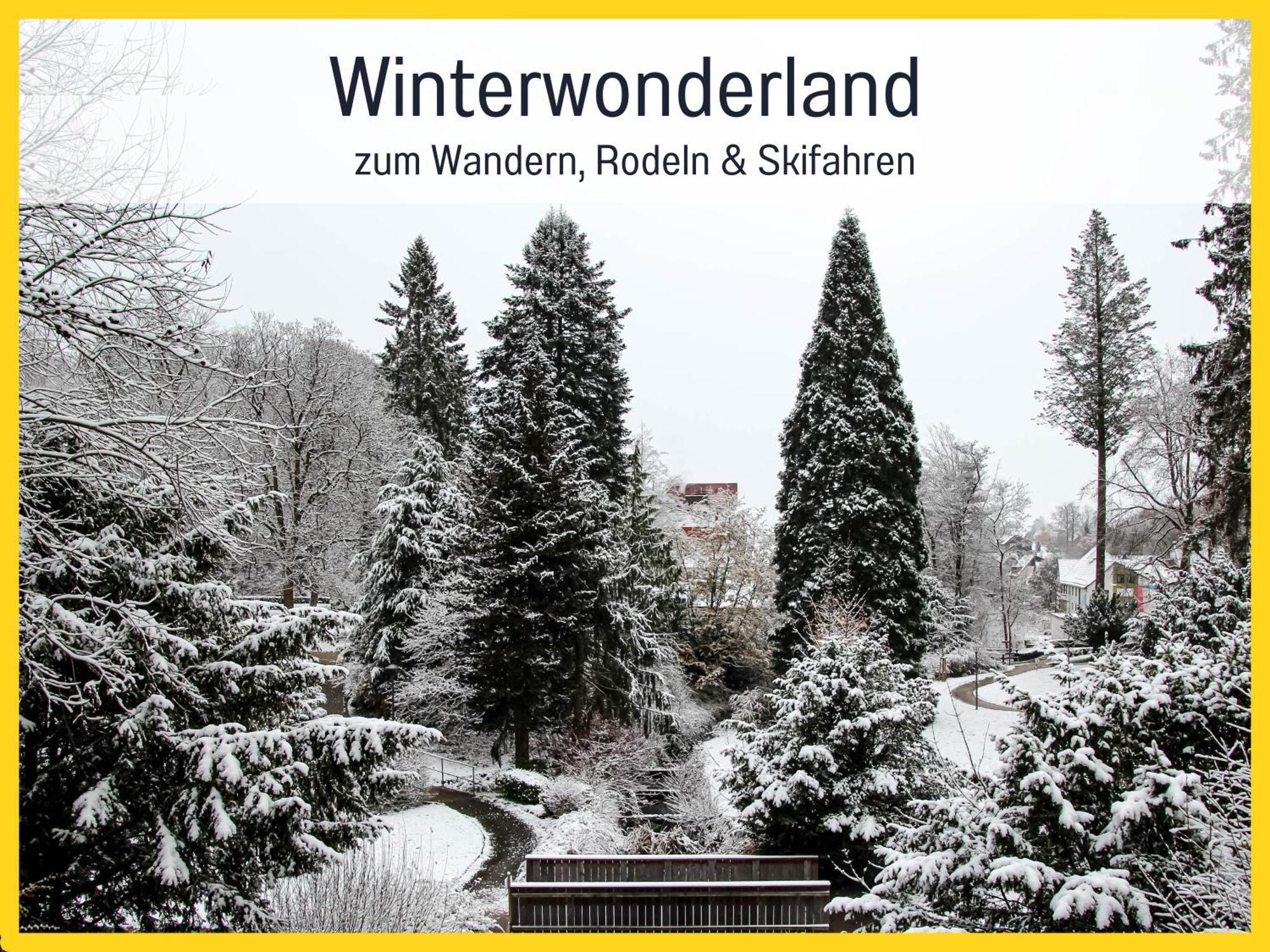 Marks Ferienwohnung In Bad Sachsa - Waldnah, Hundefreundlich, Ruhig! Ideal Fuer Paare Mit Hund Экстерьер фото