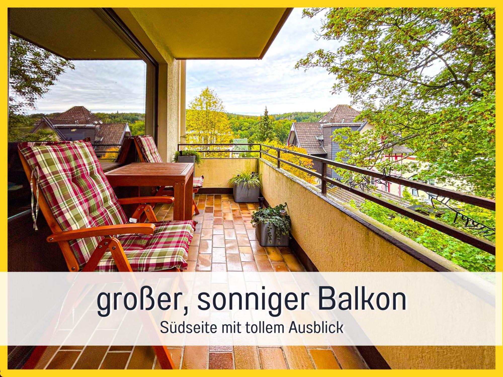 Marks Ferienwohnung In Bad Sachsa - Waldnah, Hundefreundlich, Ruhig! Ideal Fuer Paare Mit Hund Экстерьер фото